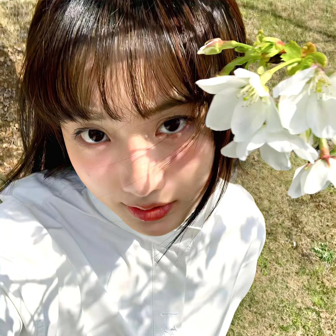 爱之花